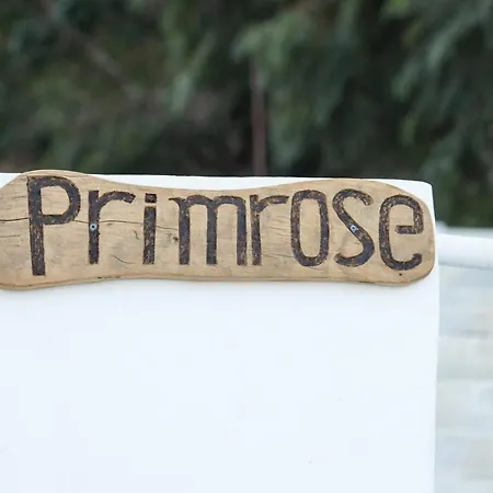Primrose Astypálaia